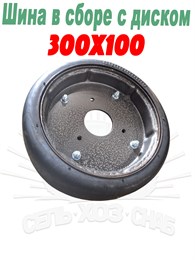 300х100 Шина в сборе с диском 300х100