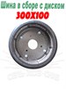300х100 Шина в сборе с диском 300х100 - фото 37819